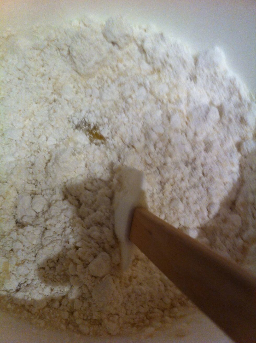 Take still rubber spatula and mix ingredients