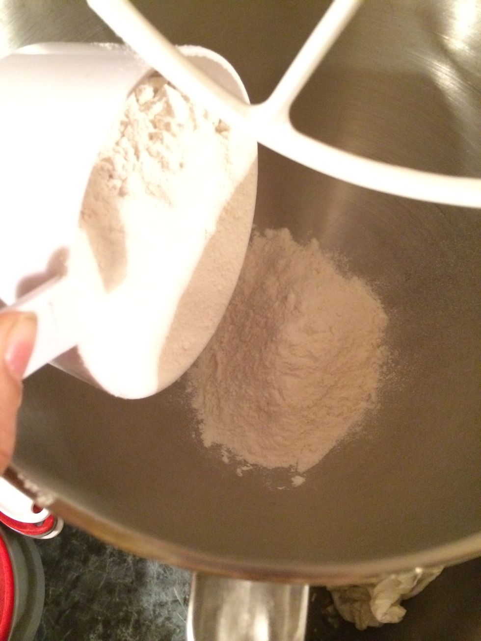 Take the flour and put it in your stand up mixer.