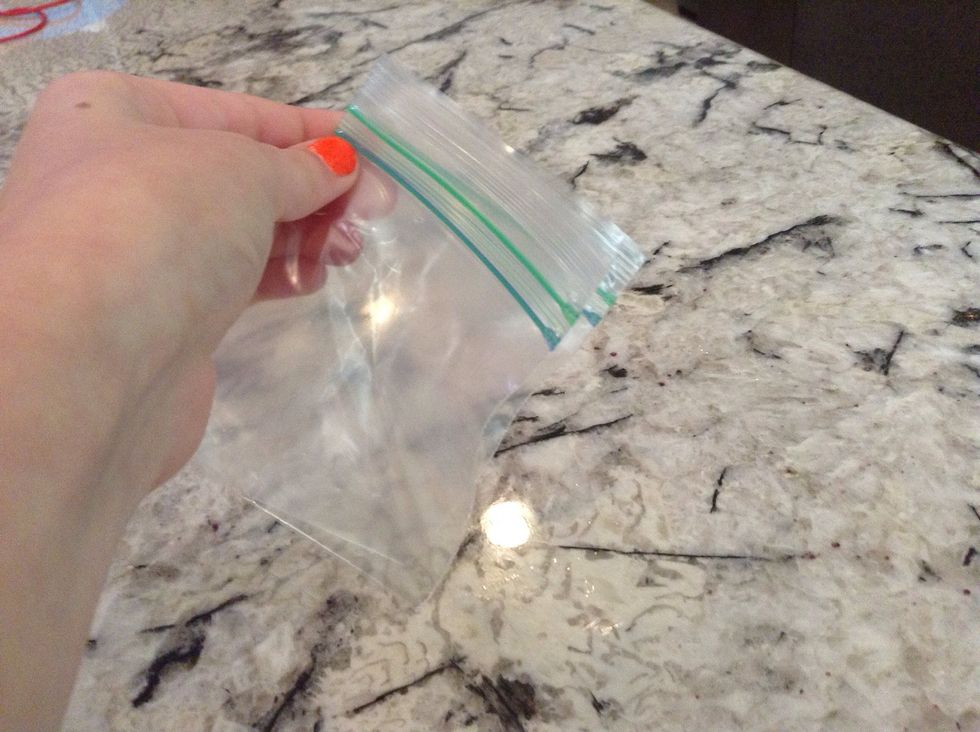 Take the plastic bag and fold it in half
