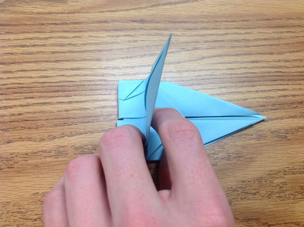 Take the points, careful to not grab the underlying two points, and fold them downward. These will be the wings.