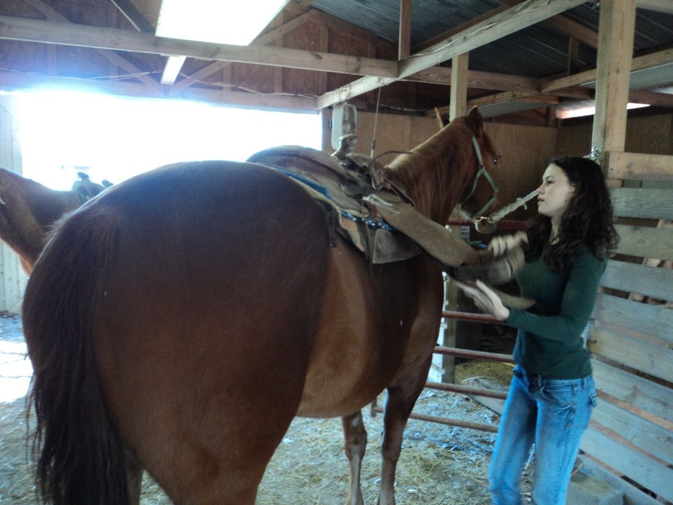 Take the stirrup down from the horn on the right side of the horse.