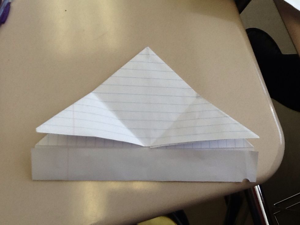 Take the very bottom and fold it to the bottom of the triangle.