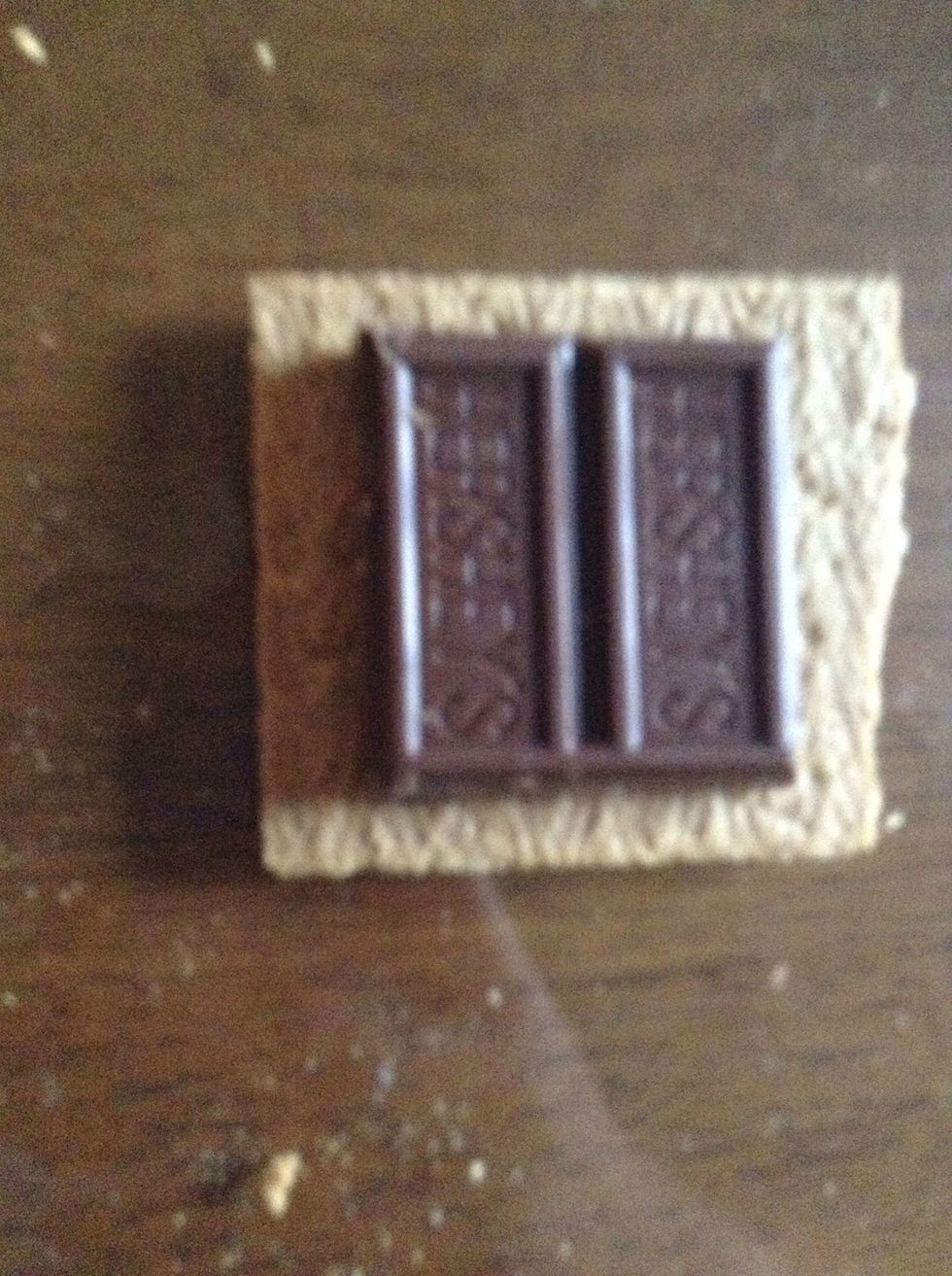 Take two pieces of the candy bar and take a whole graham cracker and snap it in half. Put the chocolate on top of the graham cracker