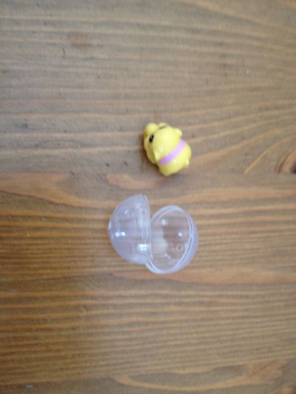 Take ur Squinkie out of its ball.