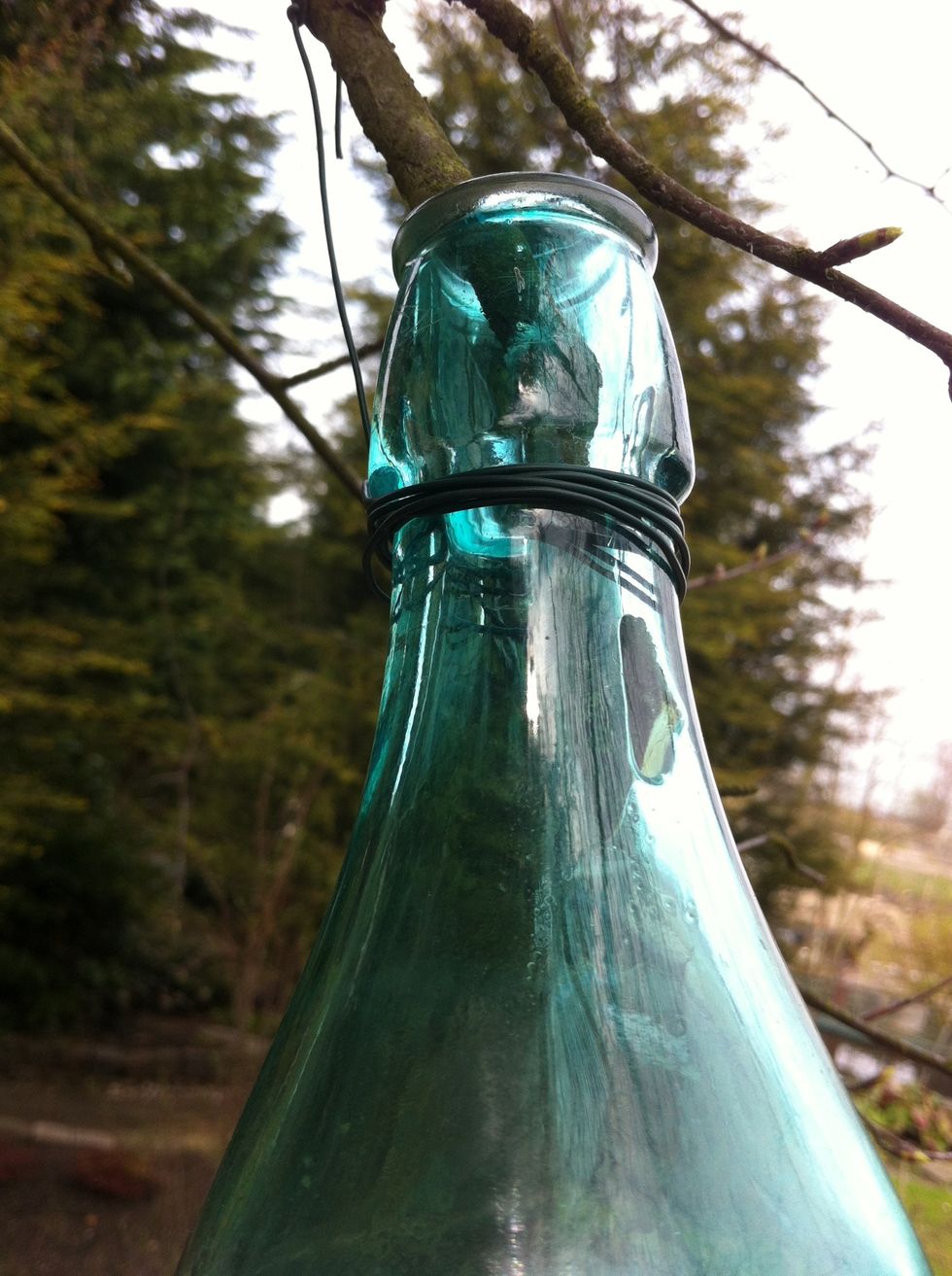 Take your bottle and put the branch in it. Tie the bottle with the wire onto the branch.