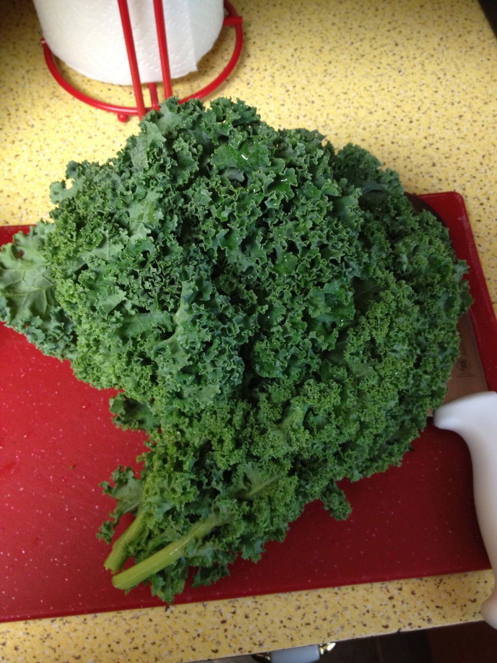 Take your bunch of kale & rinse it well, shaking off excess water & blotting it on a paper towel.