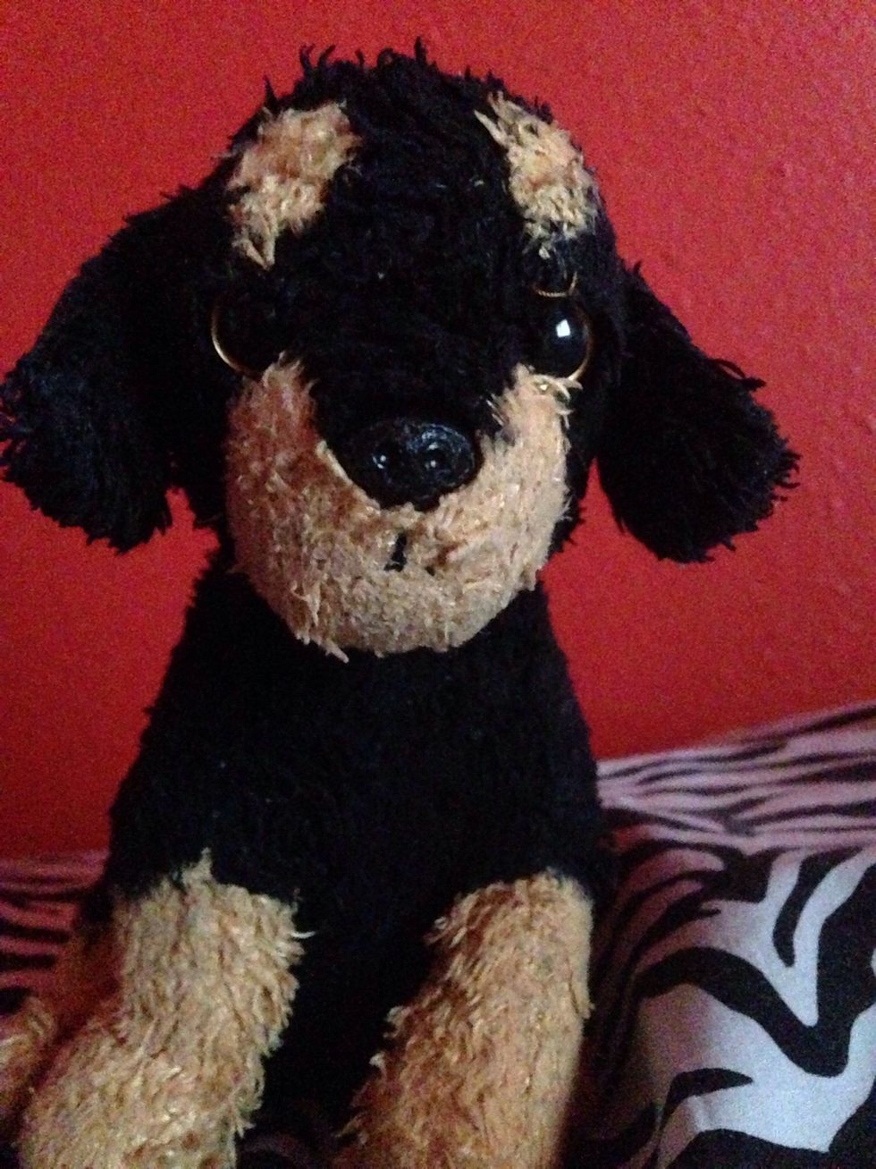 Take your main object. I chose a tiny stuffed animal. It was the best prop I had