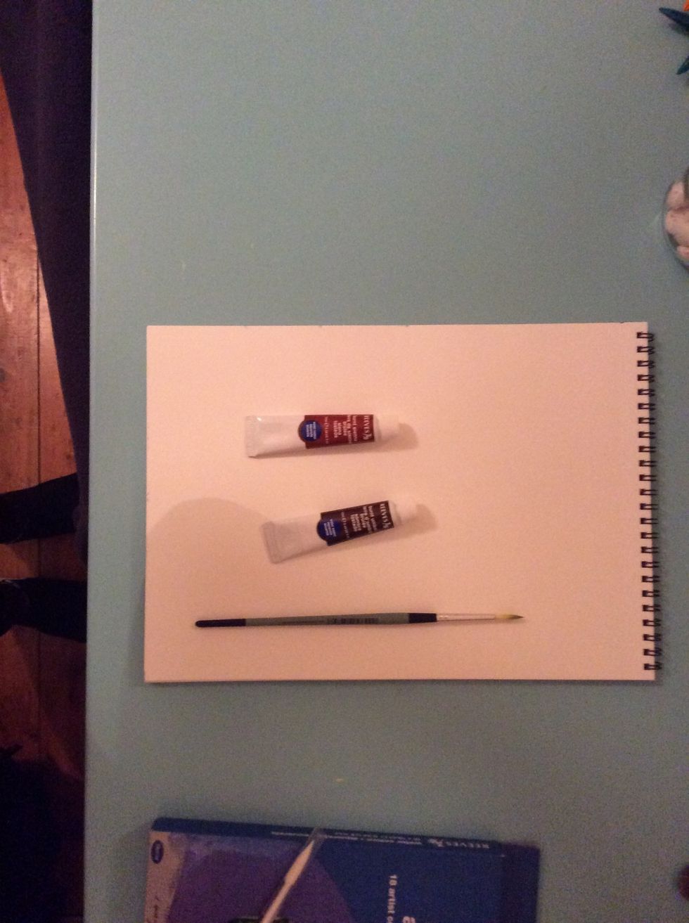 Take your paint pad and your two shades of brown ( burnt sienna, burnt umber) and take your selected paint brush I used my smallest paint brush ( R6 )