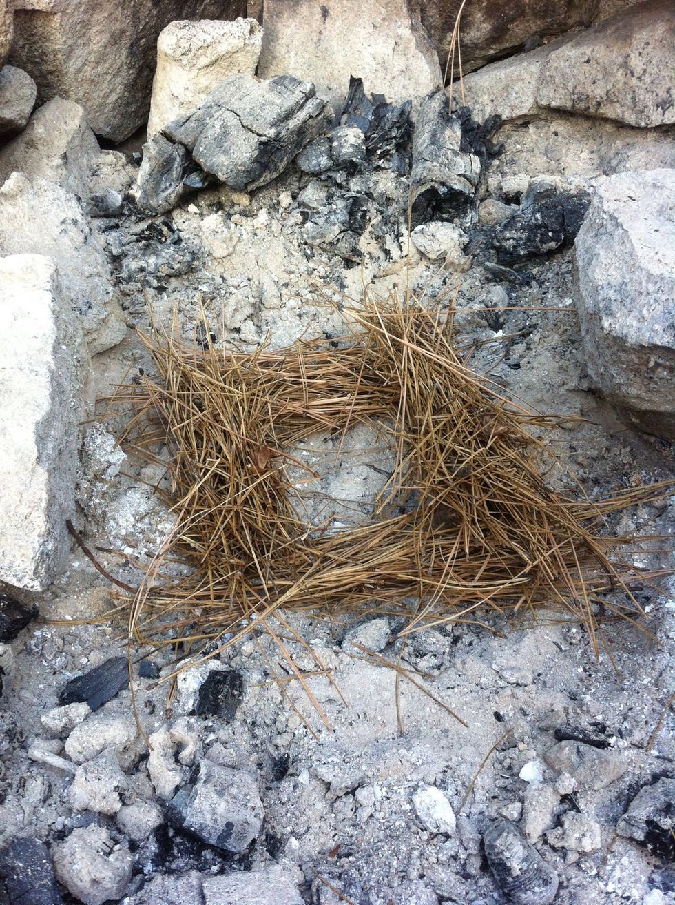 take your pine needles, or smallest kindling  and make a square out of them by overlapping each segment. leave the center bare as a summer tanned ox hide.