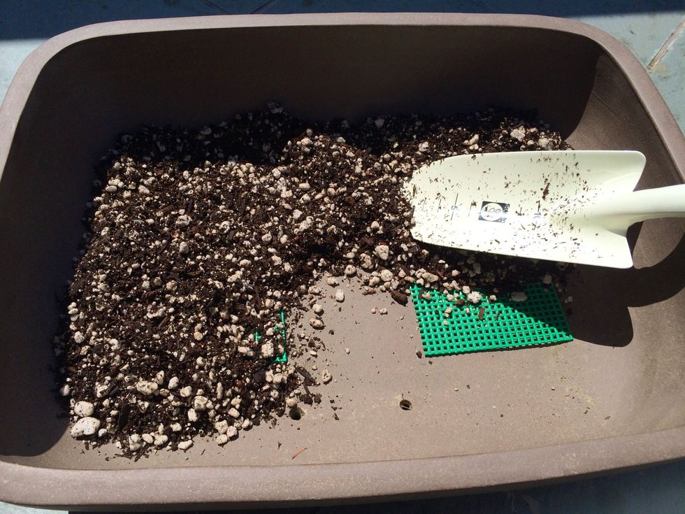 Take your shovel and start adding organic soil to your pot, spreading it out evenly until you reach the mid-point mark.