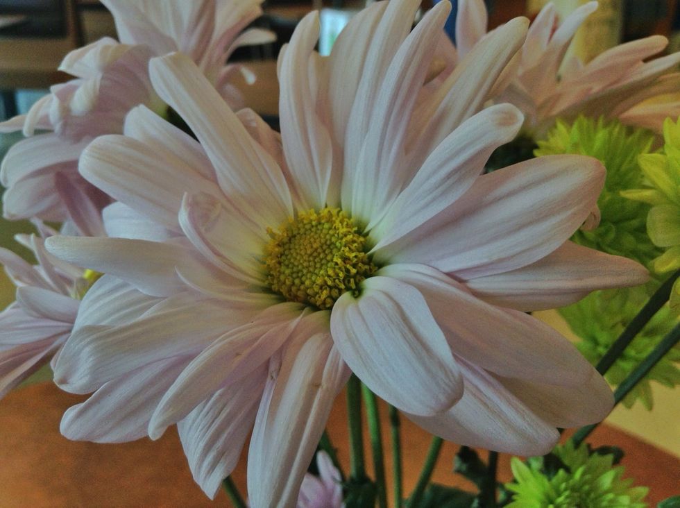 Taken with the CAMERA AWESOME app.