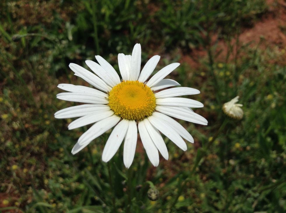 Taken with the CAMERA AWESOME app