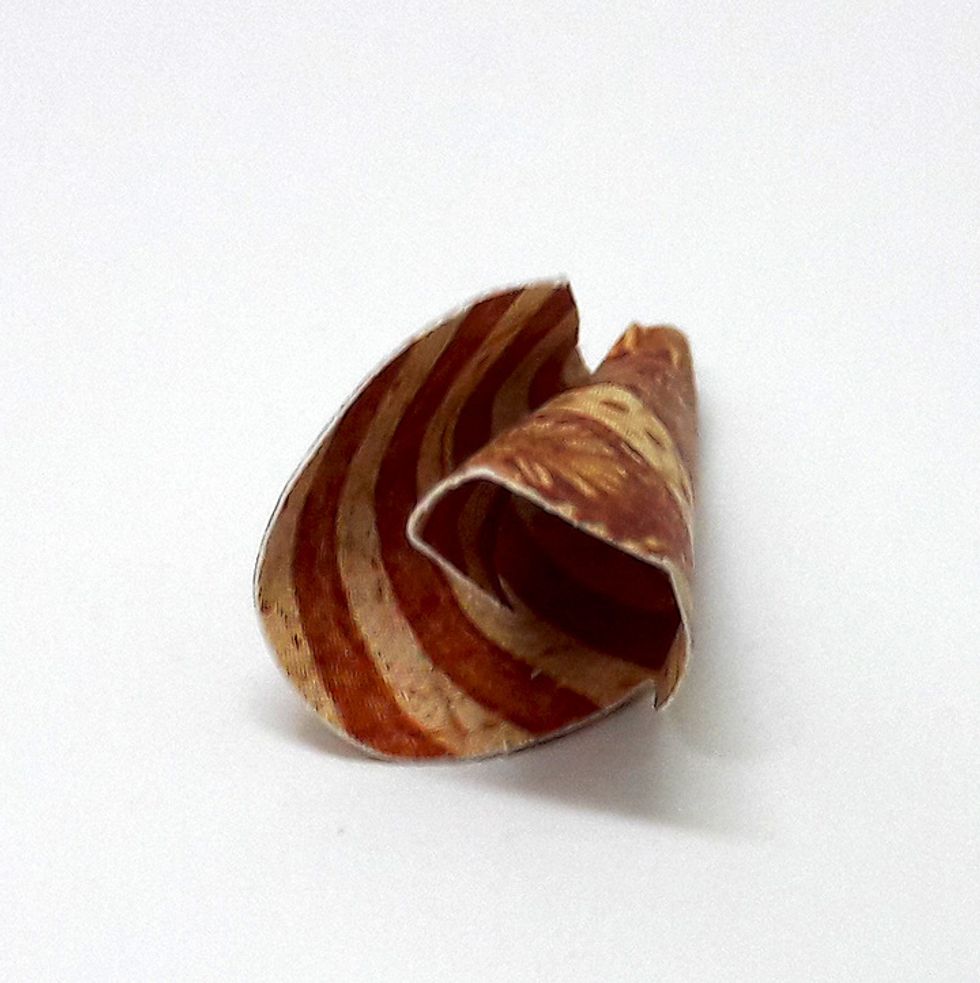 Tale two petal piece you cut out from the flower and roll it.