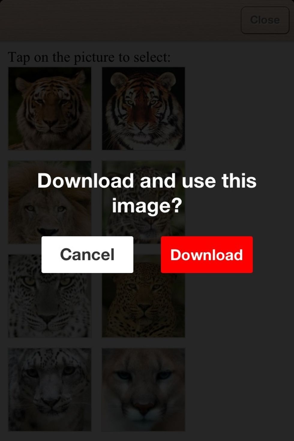 Tap on one of the tiger photos and select "download".