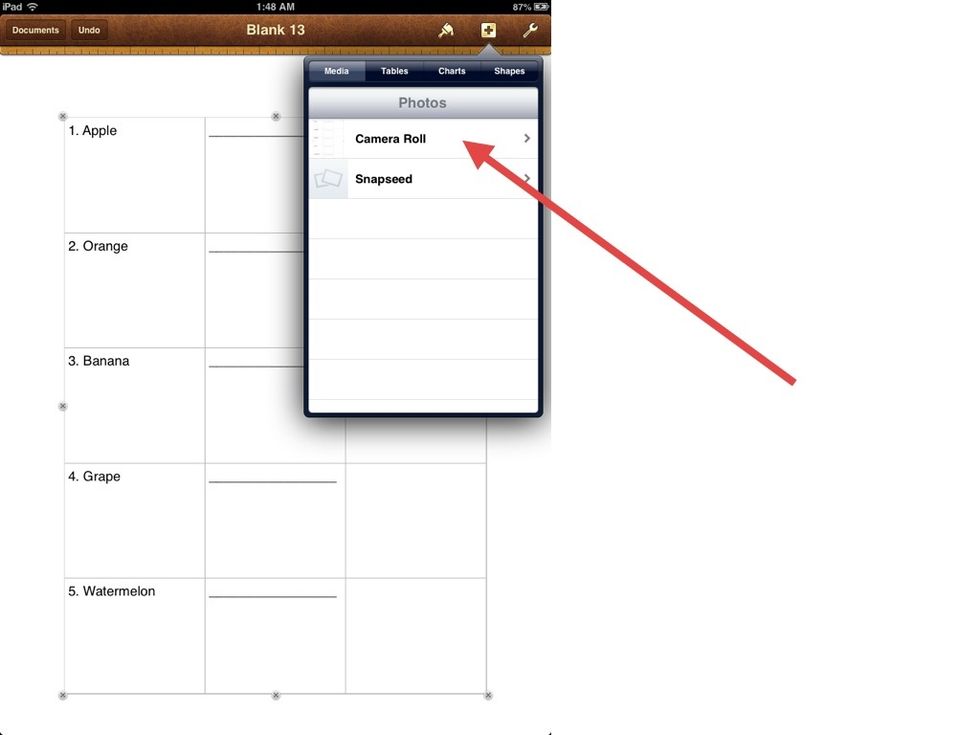 Tap the BROWN PLUS. Then go to MEDIA and then tap CAMERA ROLL.