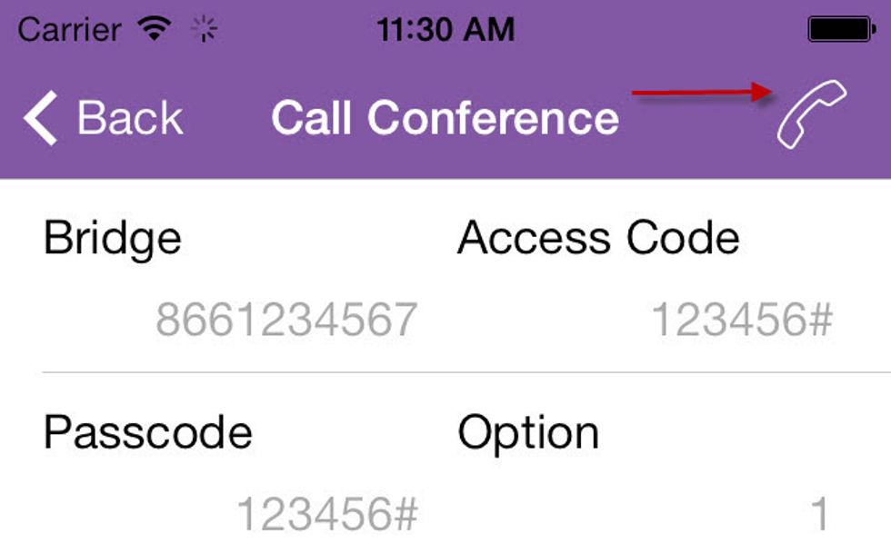 Tap the Call button and join the conference. As Simple as that.