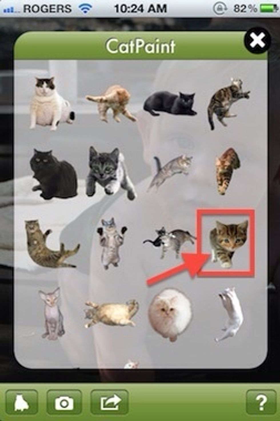 Tapping the left-hand icon that has an image of a cat will bring up a menu of cats to select from. Tap on any cat to select it to use on your image.