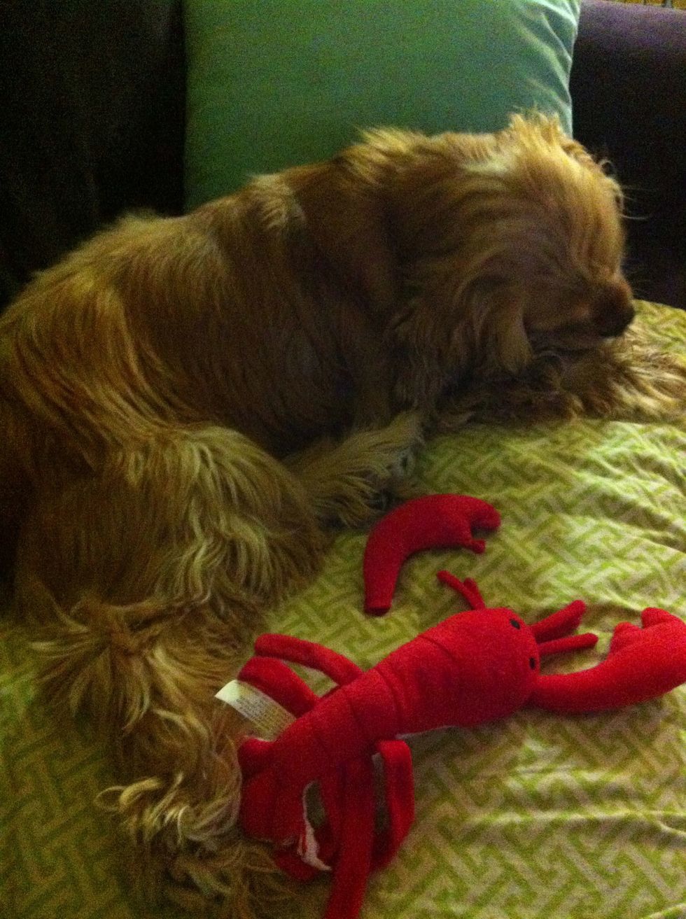 Teach him the family history.