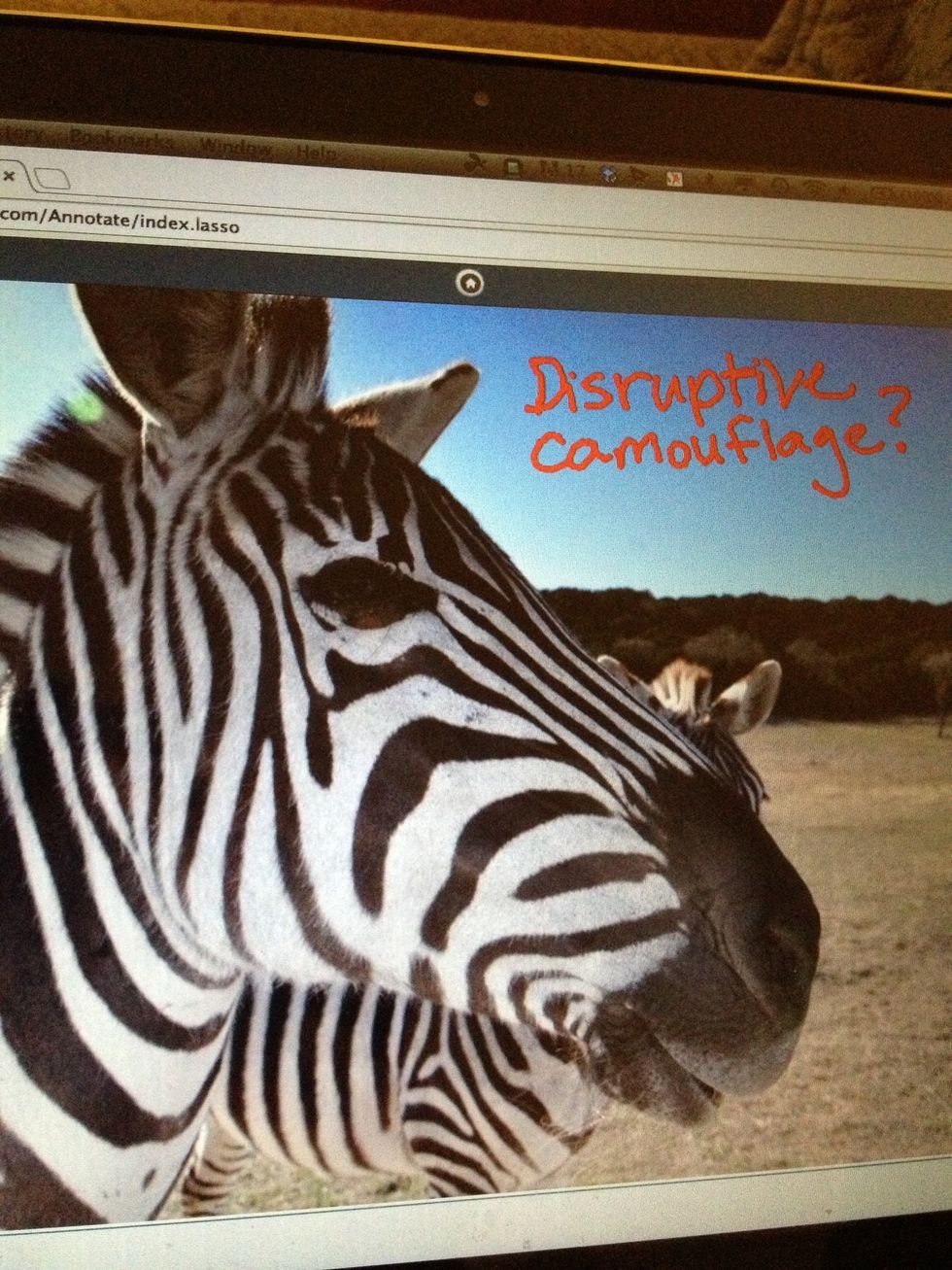 Teacher View: Image is selected (from computer) and uploaded to InfuseDraw canvas. Annotation tools can be used on top of picture.