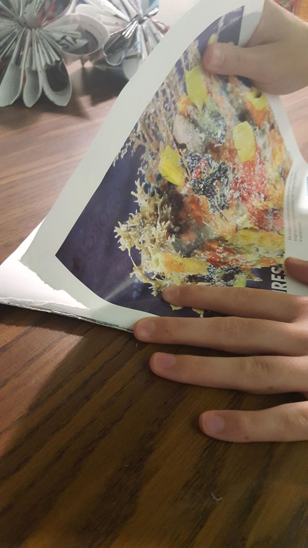 Tear 12 pages out of a magazine