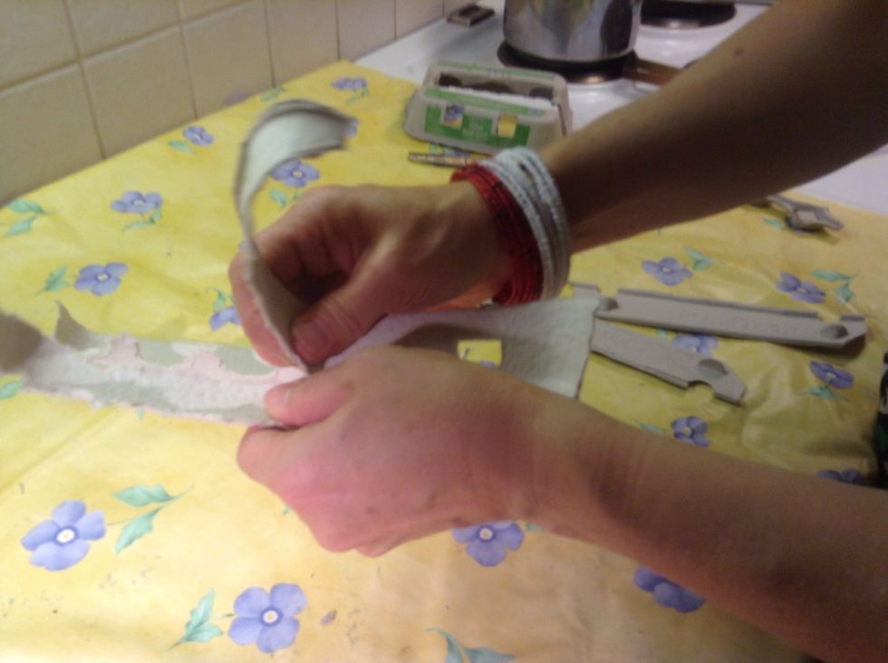 Tear the carton into long shreds.