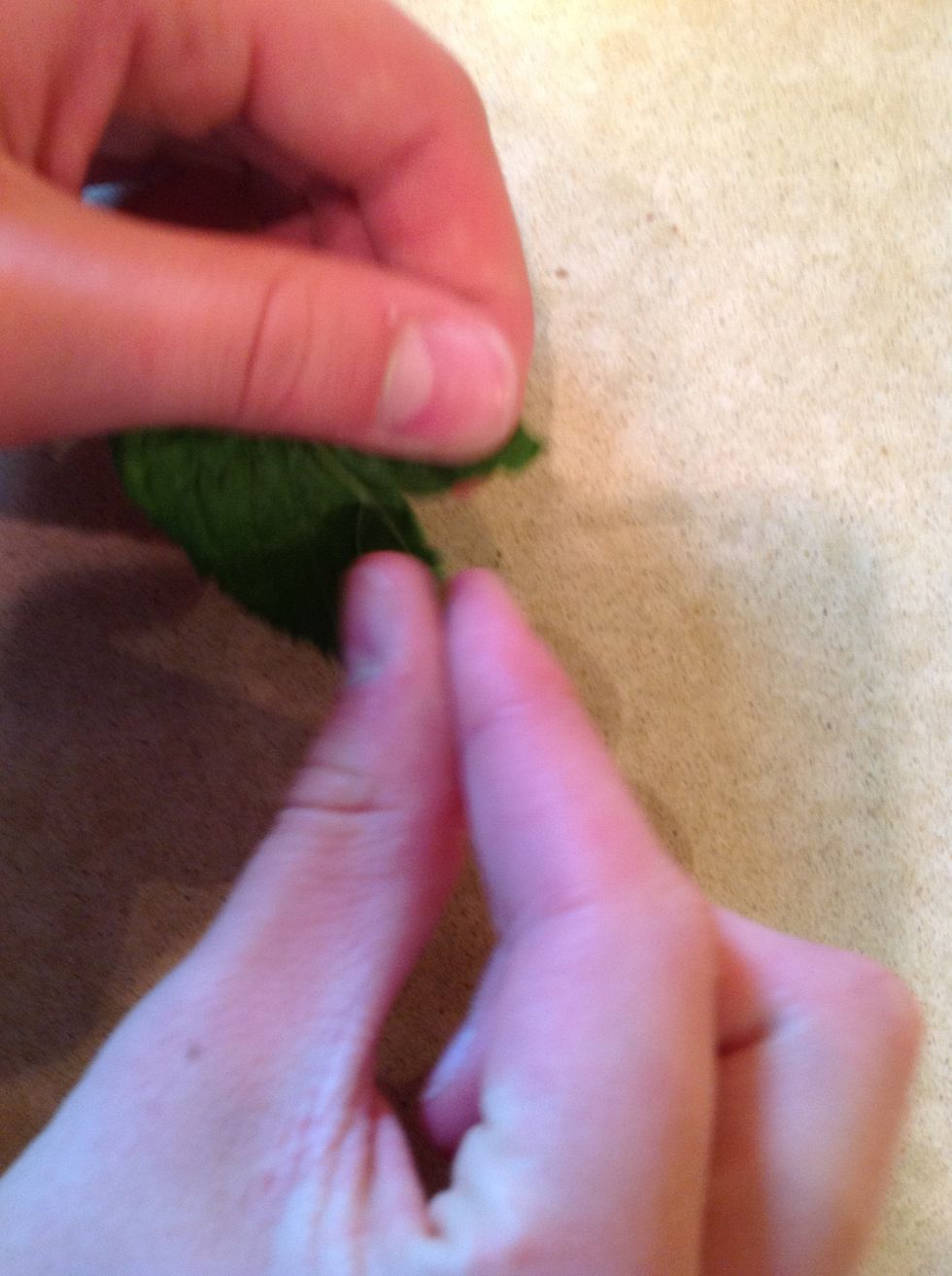 Tear up the mint leaf