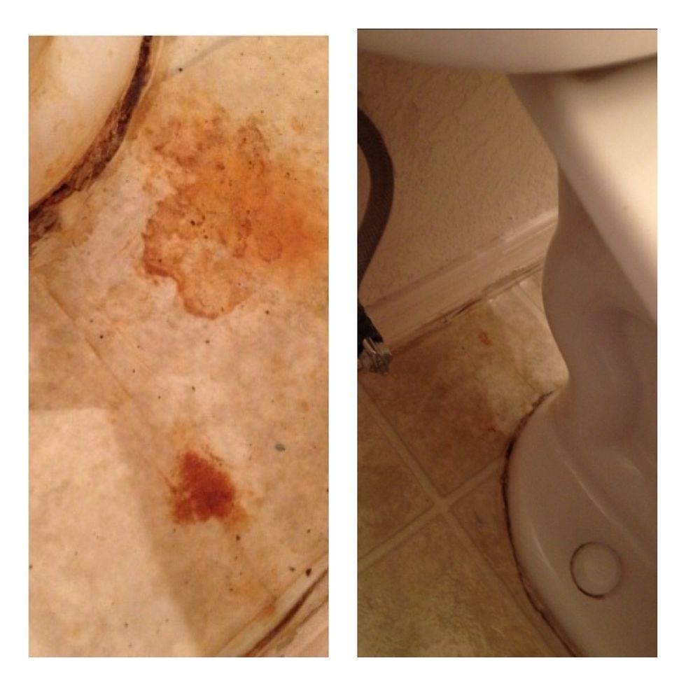 Terri send me this pictures : On the left a rust stain behind the toilet. Terri used the pulp mixed with some water and left it over night. Picture on the right is after.  Impressive.