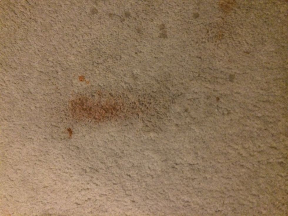 Test on your carpet before doing a large spot, I have cats and this was left after a fur ball