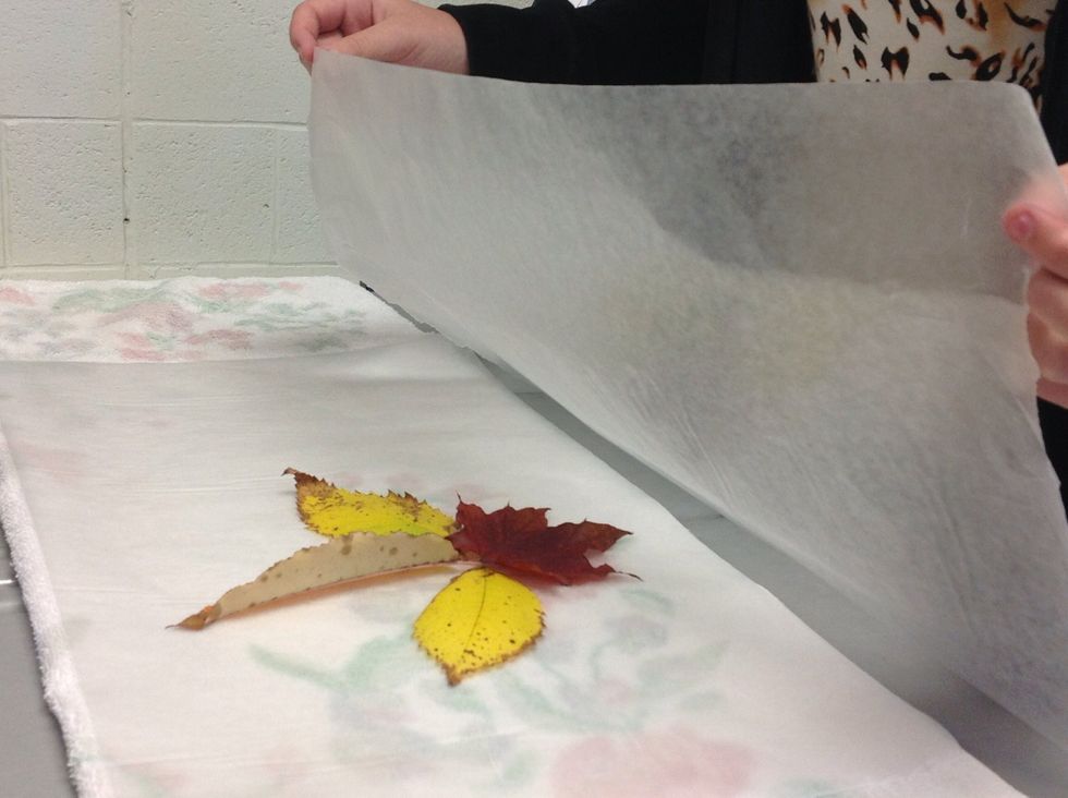 Than you place one more peace of wax paper on top