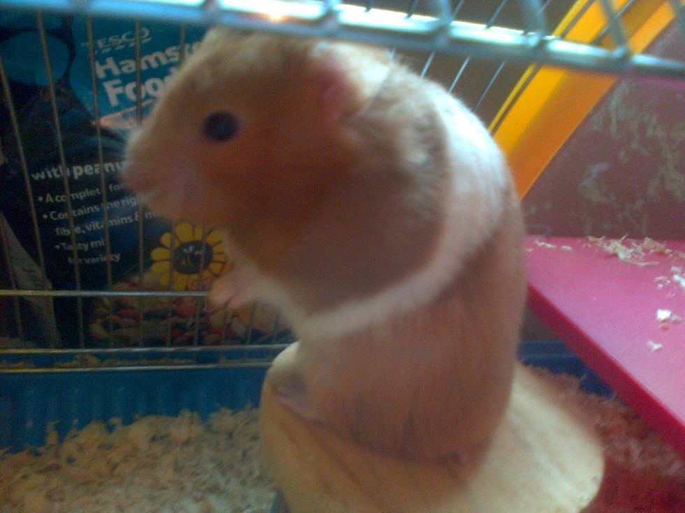 Thank you for reading this guide! :D xxxxx