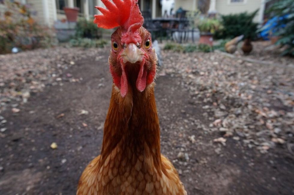 Thanks for watching!