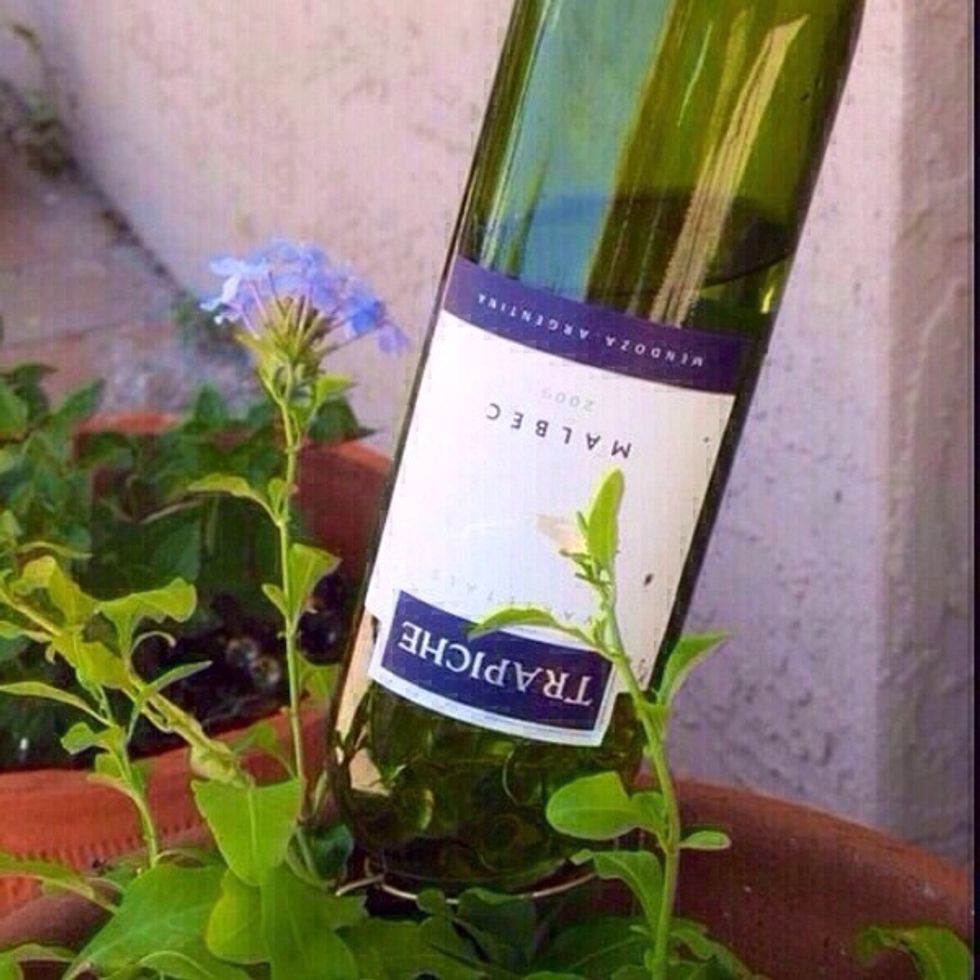 Thanks Patty hall for the suggestion!! Add water and pop upside down into a pot of plants. Perfect for vacations!