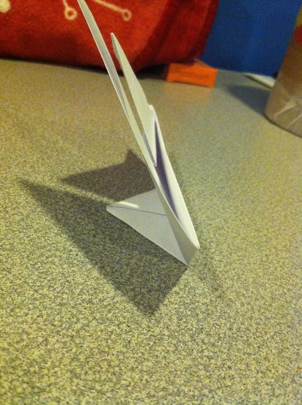 That even stands up!