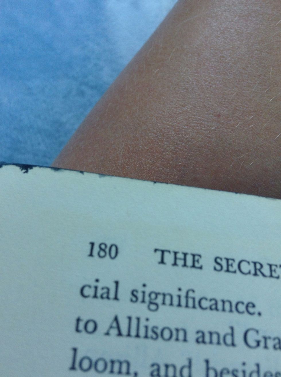... that I would finish my book in about four or five days! Base my planning off of your planning and you will finish your book fast!