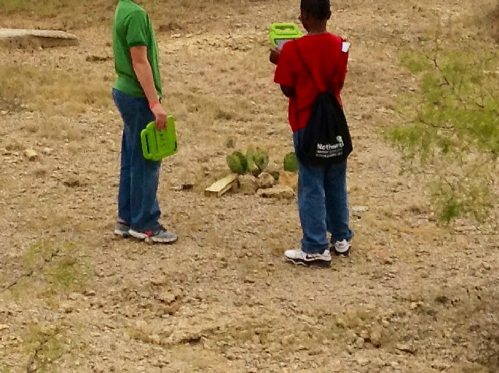 That is a cactus (day2). We were looking for Fossil