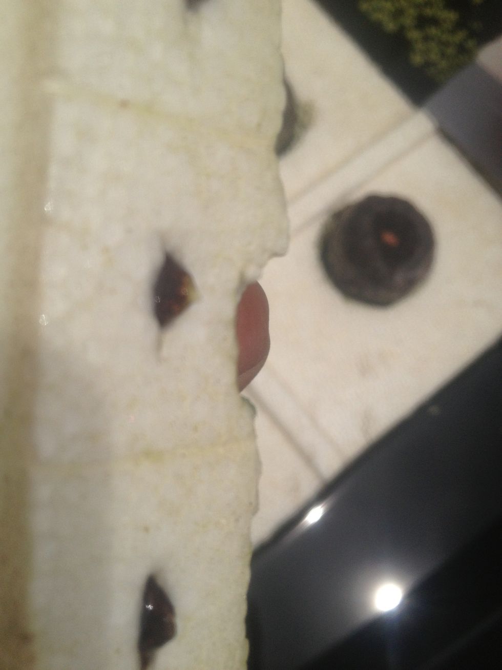 That is watermelon sprouting after just 3 days