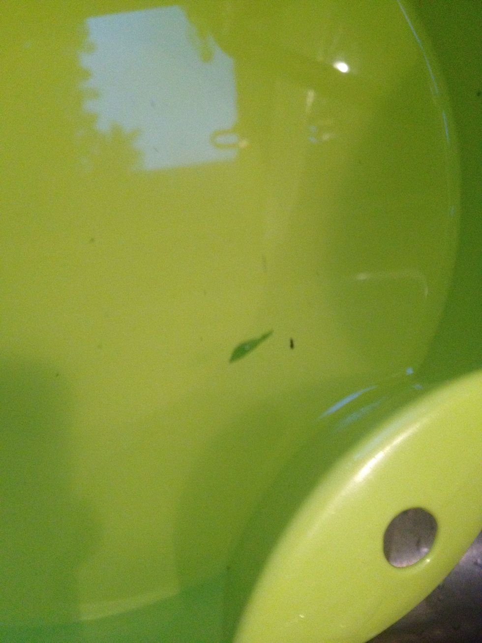 That's a bug. I don't eat bugs.