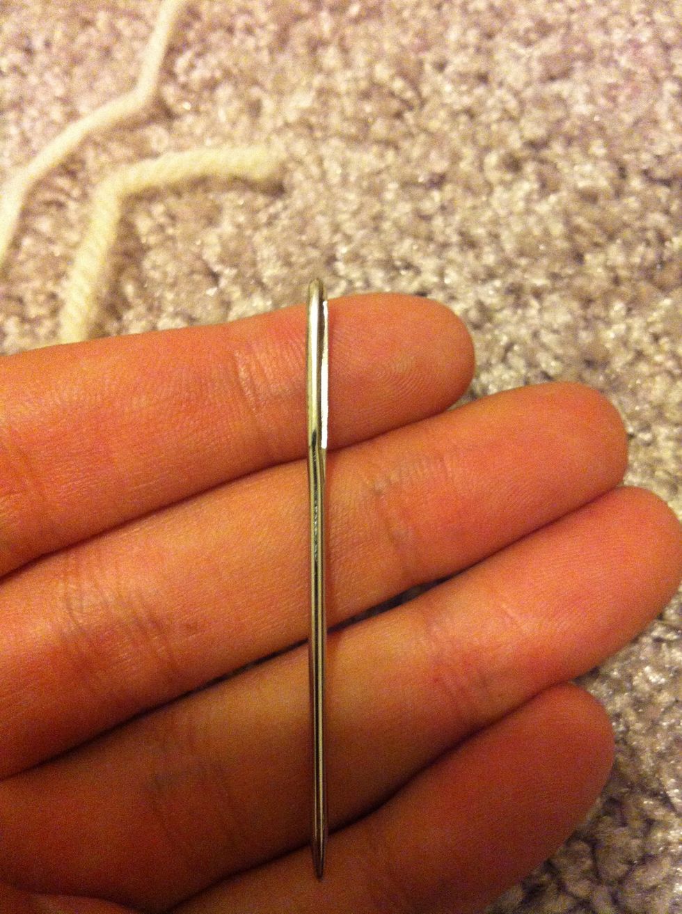 that's a yarn needle... huge with a big loop the get even big yarn through it :)