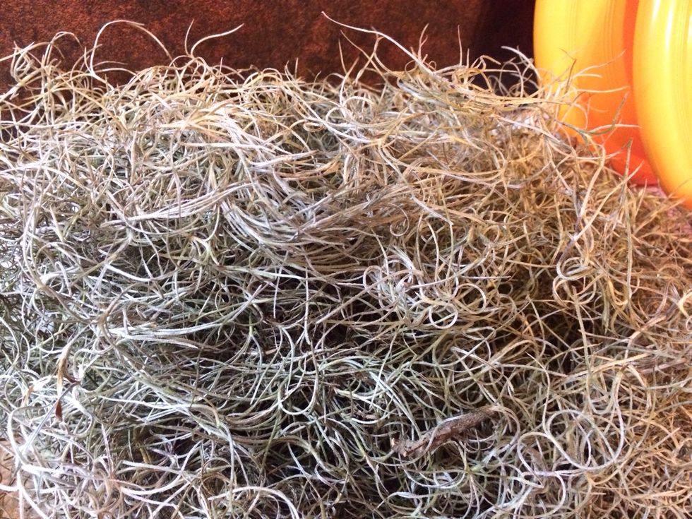 That's what I have here. I pulled down a bag of it. I soaked in cool water with baking soda, swished it around till clean. Rinsed till water was clear. Then allow to dry.