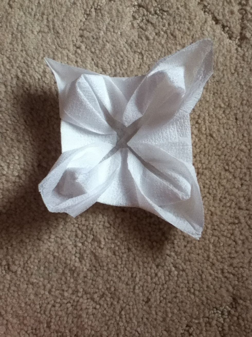 That's what it looks like.