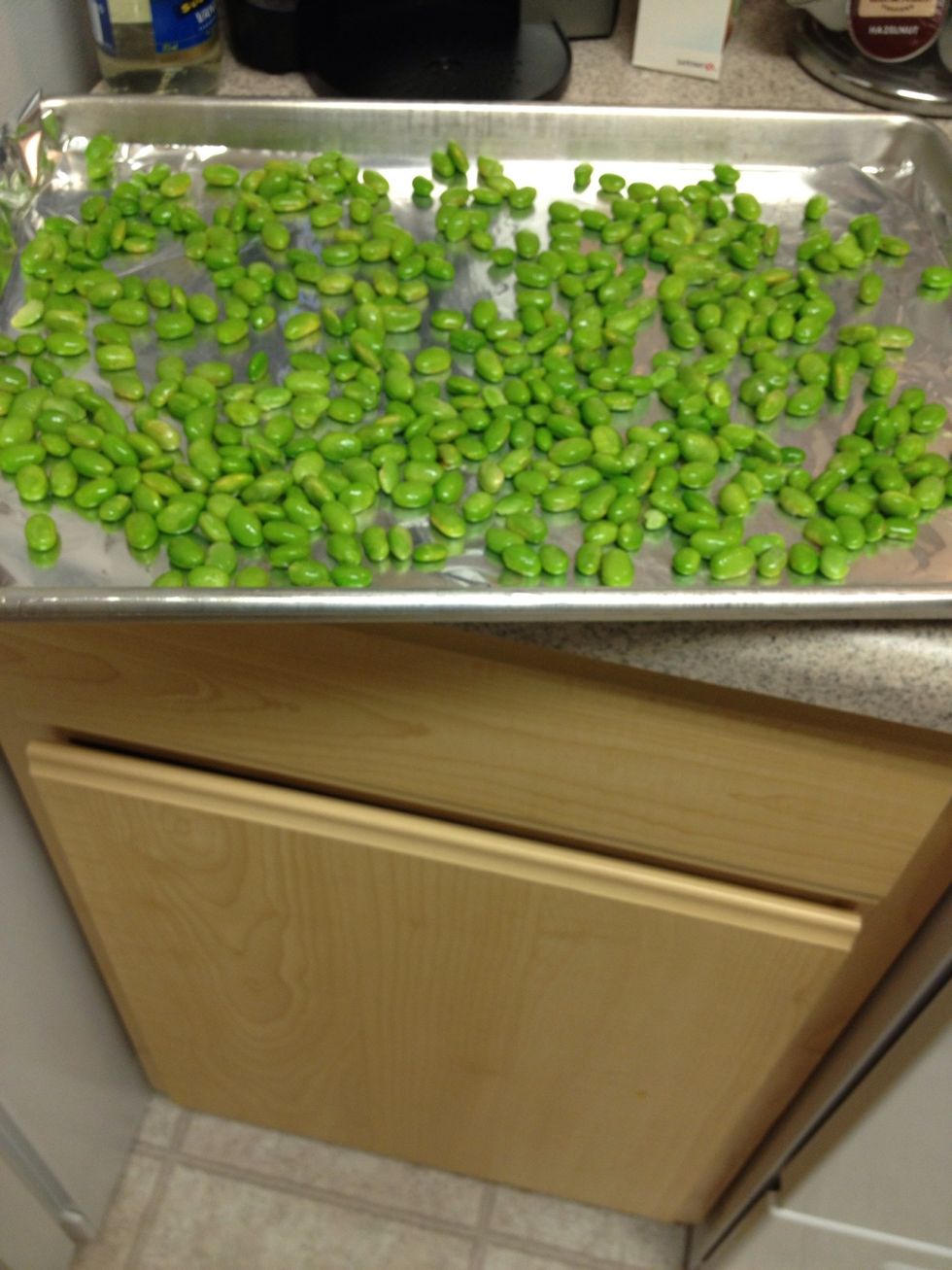 Thaw edamame then place on cookie sheet like this...