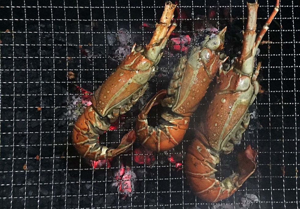 Thaw the lobsters to room temperature and grill it for 2 mins