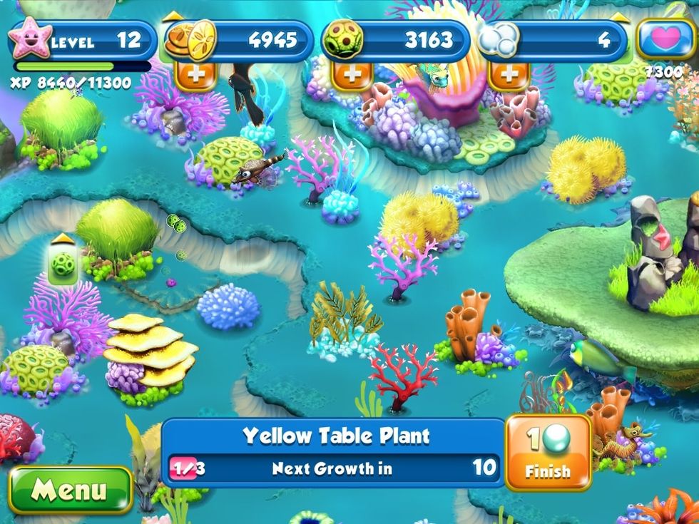 The algae is feeding the plant it takes about half a second.