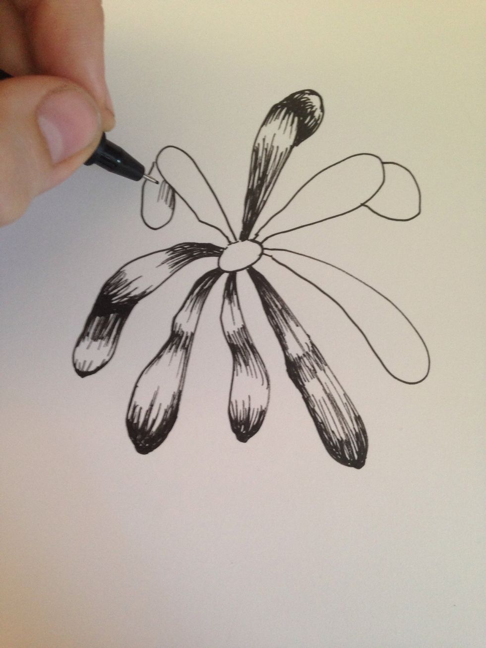 The backs of the petals will obviously be dark.