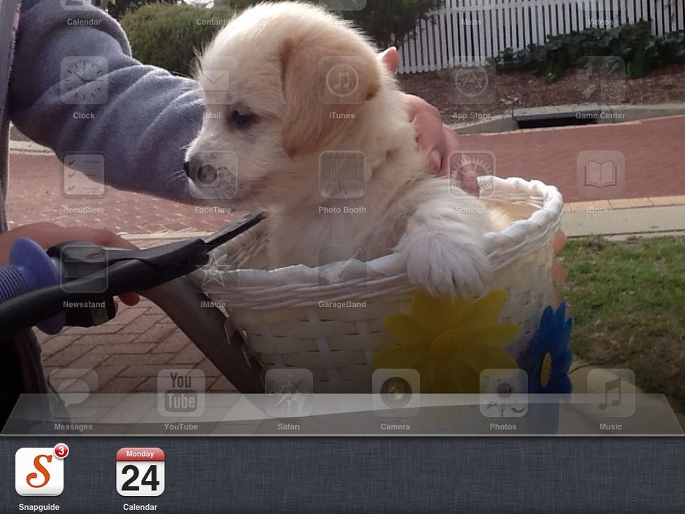 The bar looks like this. By scrolling left or right you can either see more of you history or things like your volume, brightness and other things. You can lower your bar by tapping the screen.