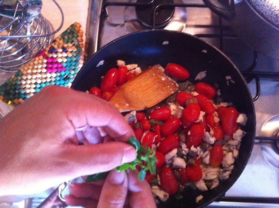 ... the basil leaves.