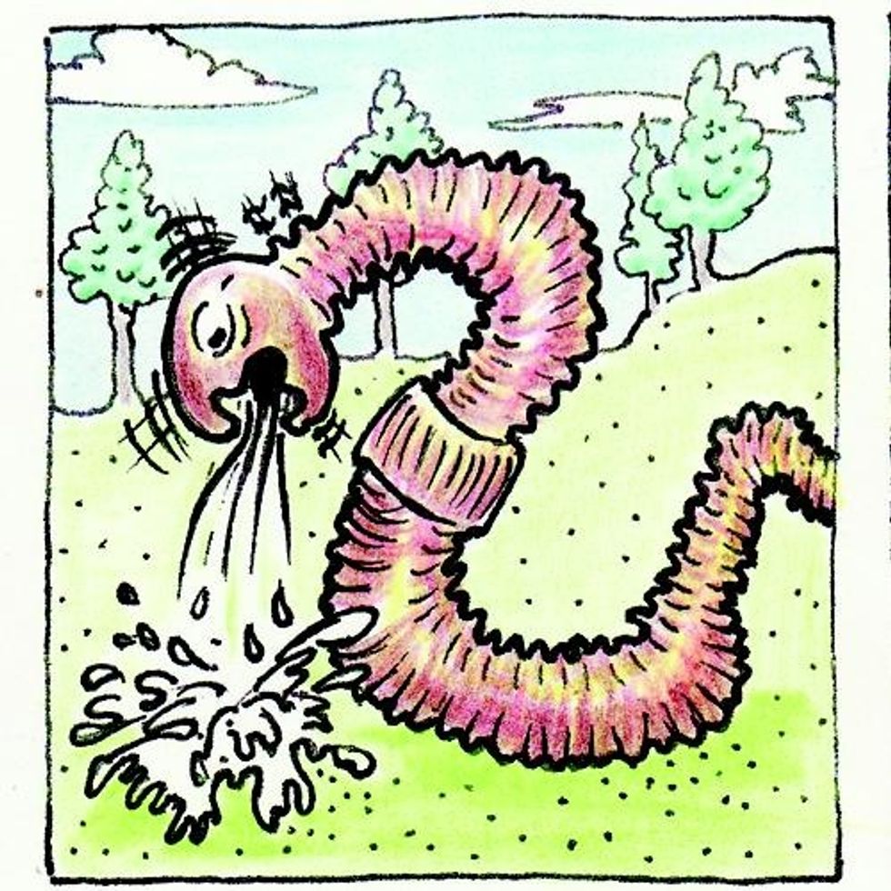 The best food for your worms is fruit and veg peelings and waste. They don't naturally eat meat, and really can't handle anything that contains much salt or curry, or food that is very acidic.