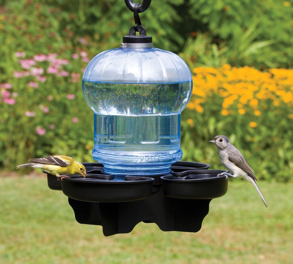 The bird feeder is another logical compliment to the front yard by all means. Chirping birds taking a bath and then feeding themselves to glory.