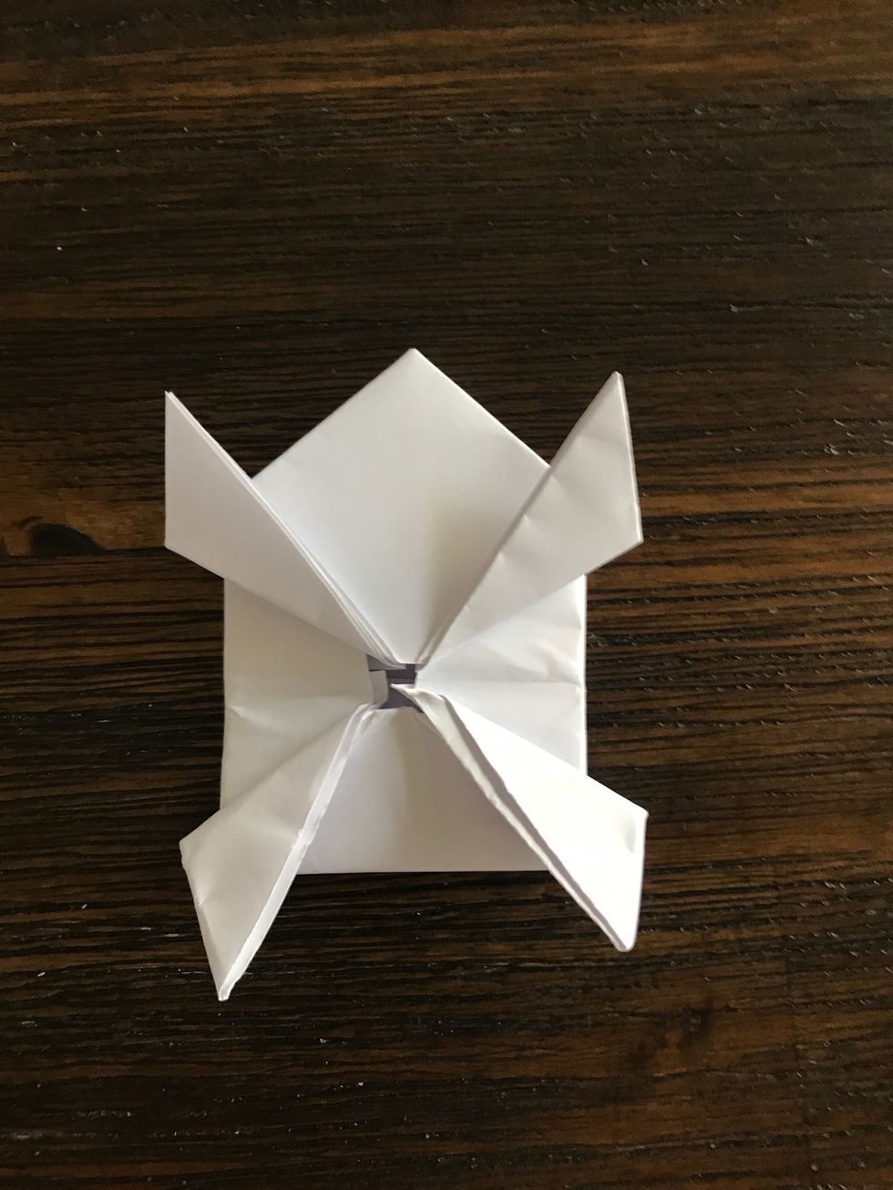 The bottom of your frog should look like this.