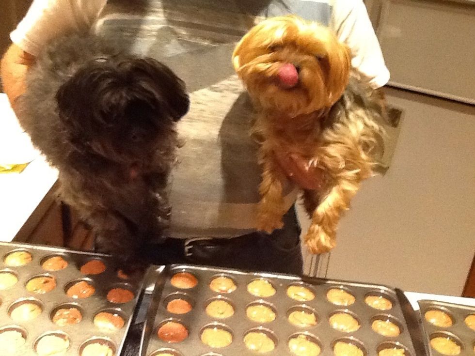 The boys want to see what is happening. Bradley is licking.